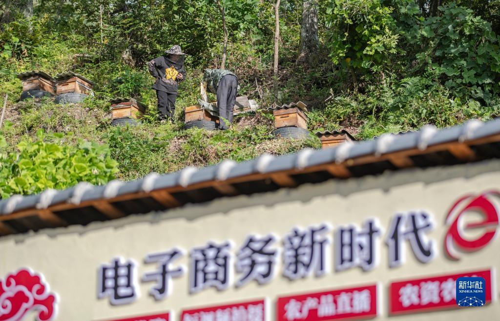 巴黎人菠菜登录