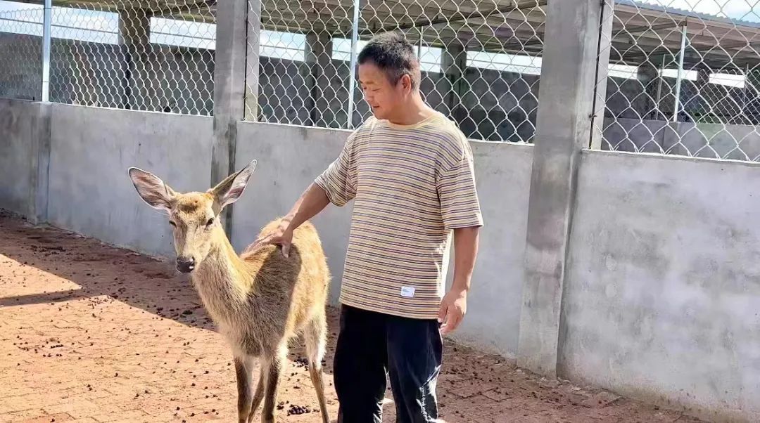 银河网上游戏厅