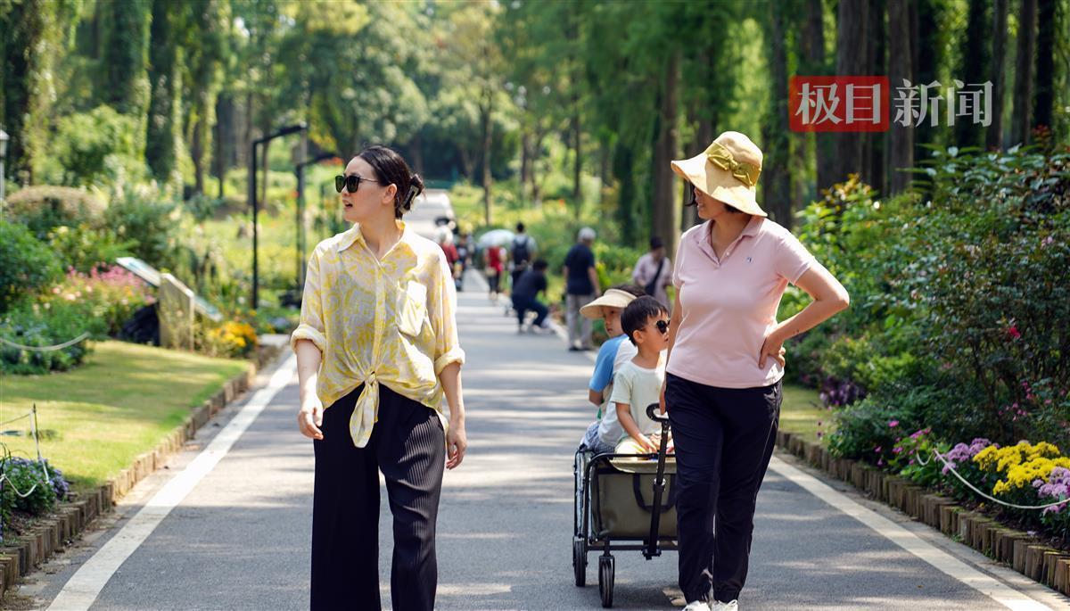九州天下现金网